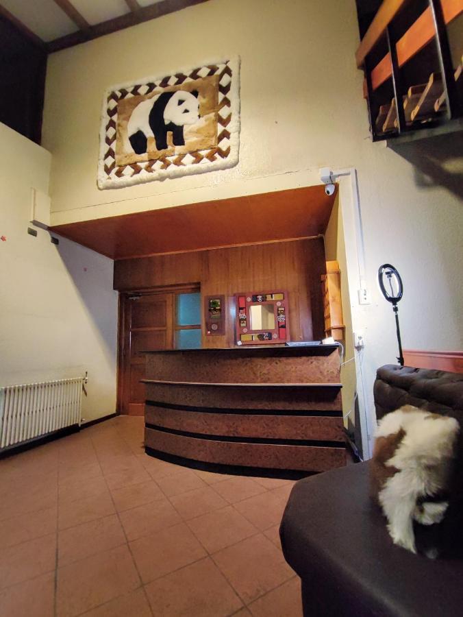 Dallas Housen Bed & Breakfast Osorno Eksteriør bilde